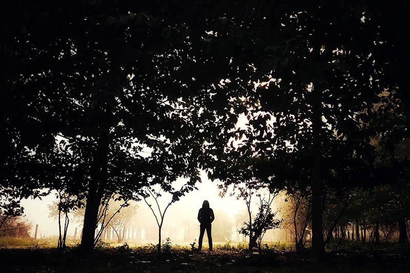 In het bos met een beetje mist kan je ook hele bijzondere silhouet foto's maken
