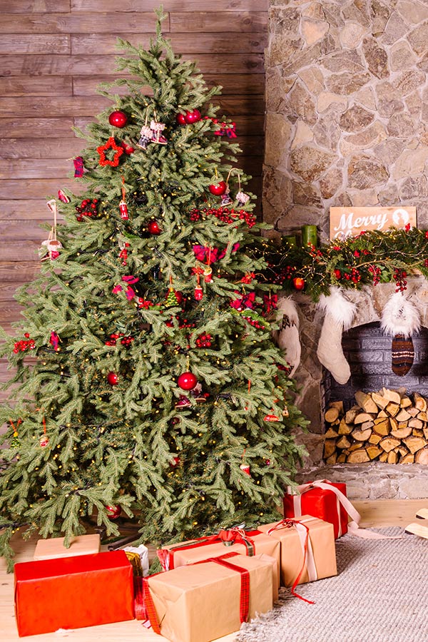Je kunt de boom en de cadeautjes in zijn geheel op de foto zetten